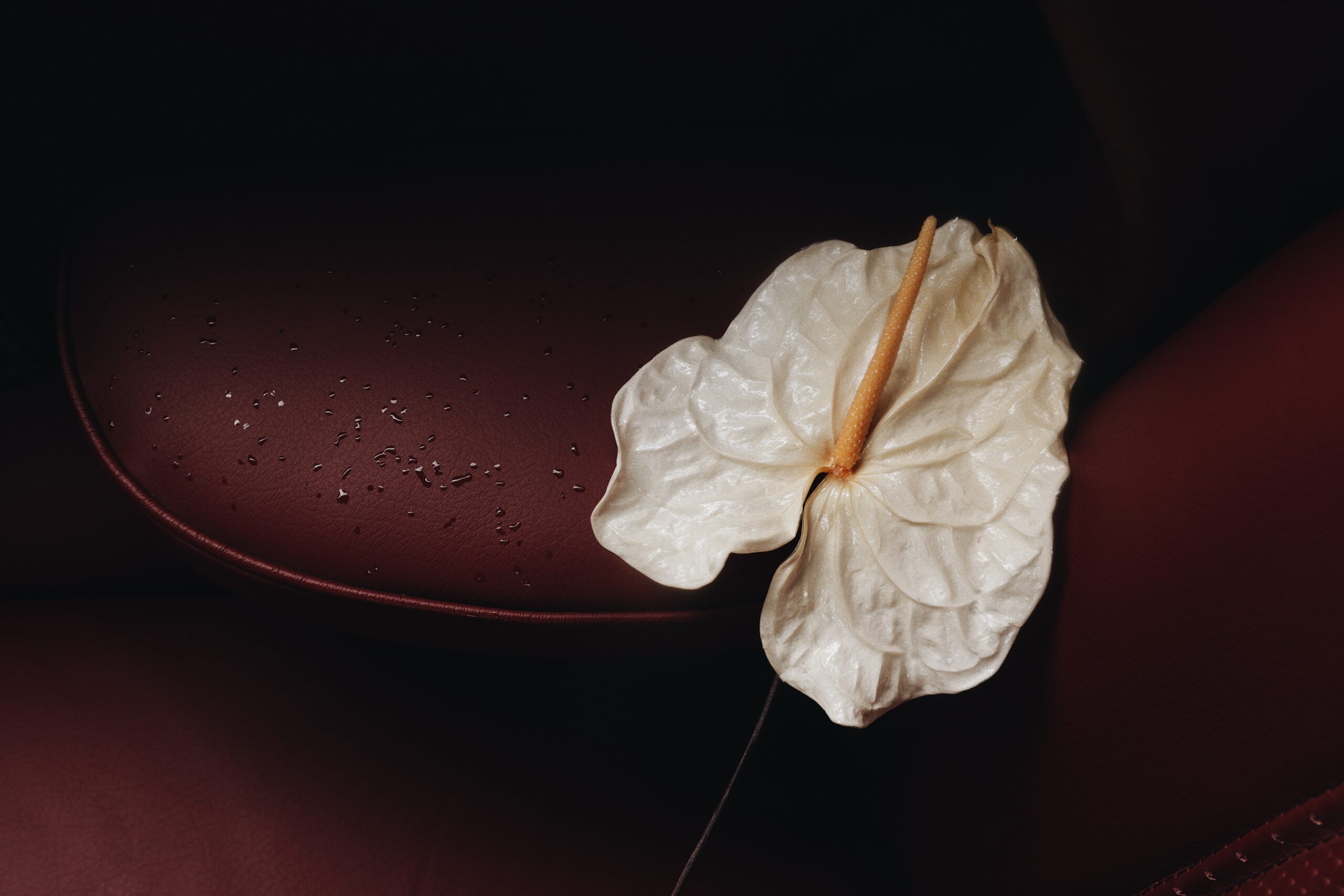 Detail shot by Monika Frias